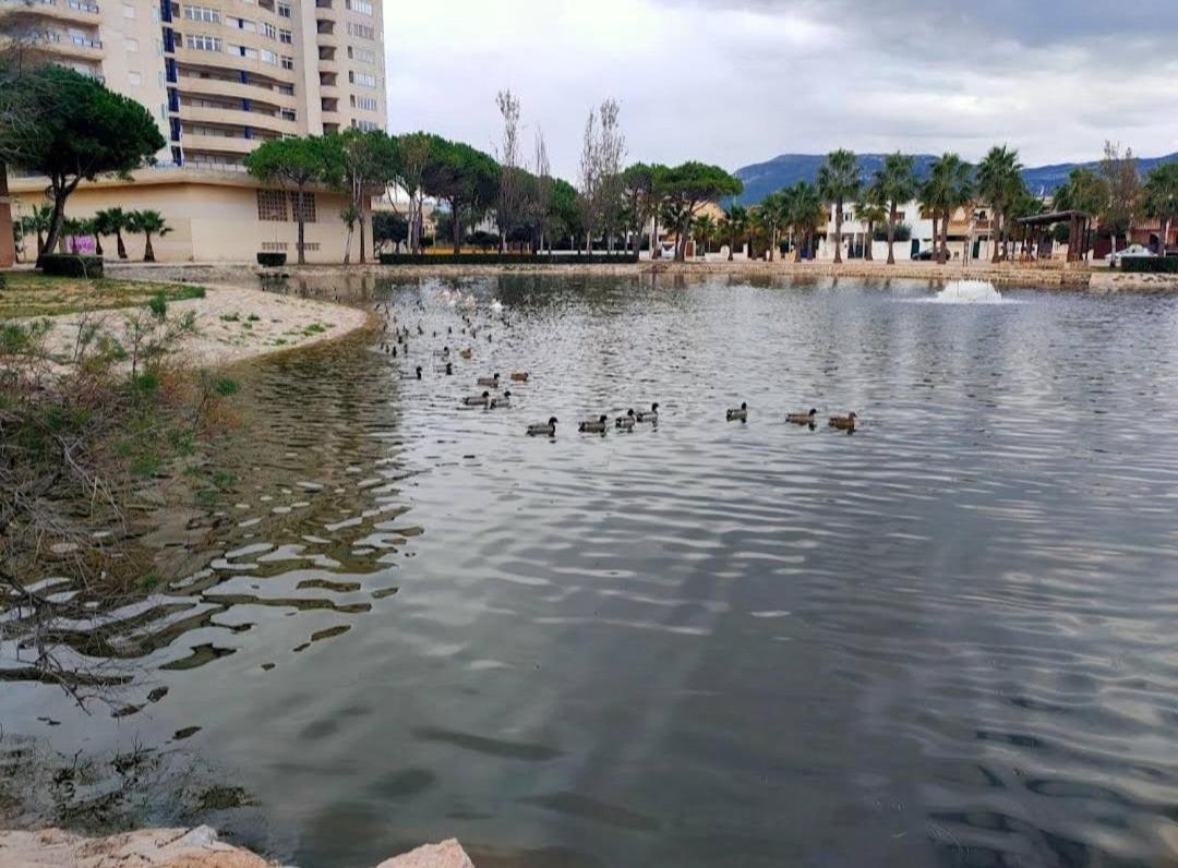 Arena Y Mar Apartment Tavernes de Valldigna Ngoại thất bức ảnh
